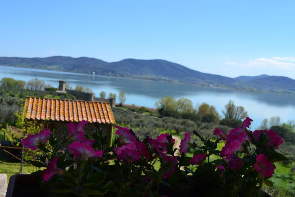 Fattoria Il Poggio Villa San Feliciano Exterior foto