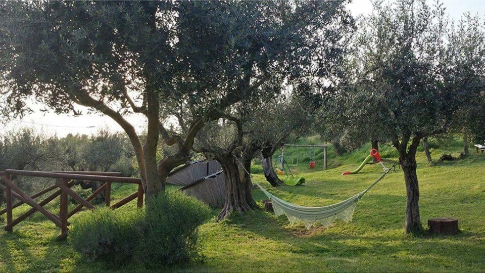 Fattoria Il Poggio Villa San Feliciano Exterior foto